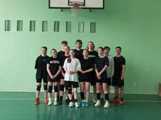 Товарищеский матч по волейболу