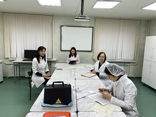 Отборочный этап регионального чемпионата по профессиональному мастерству «Профессионалы» 