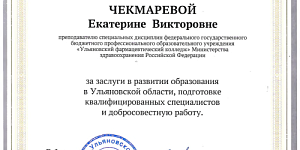 Благодарственное письмо «За добросовестный труд, высокий профессионализм и вклад в развитие образования»