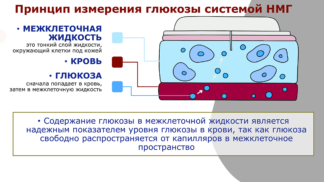 О рекомендациях по профилактике заболеваний и обеспечению безопасности в новом учебном году